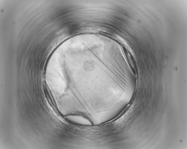 X0000087000802200705141804