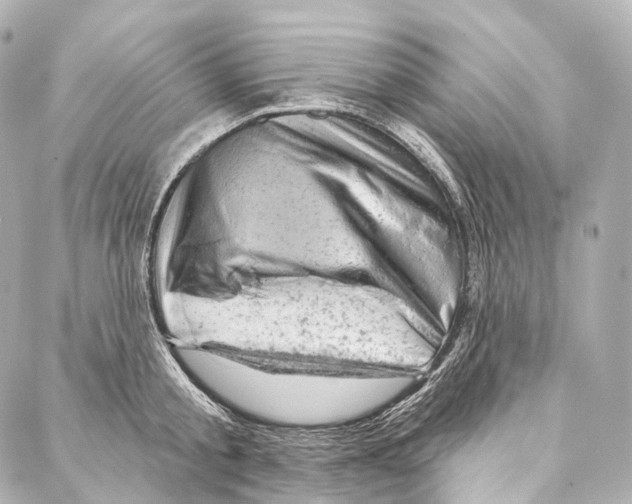 X0000087000805200705141804