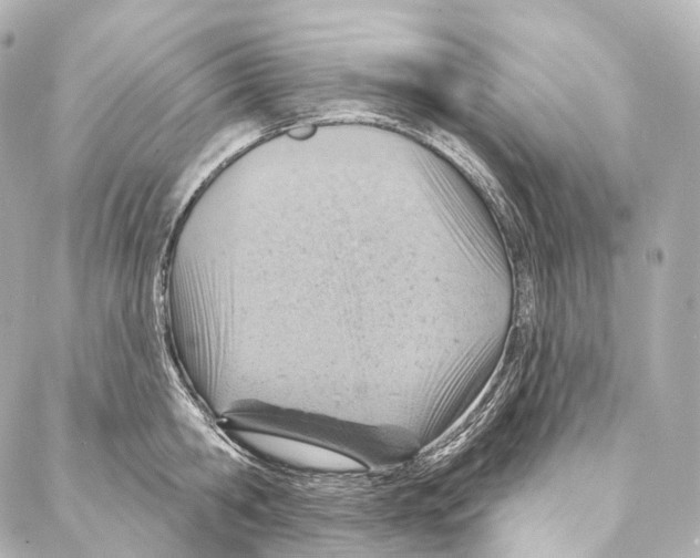 X0000087000806200705141804
