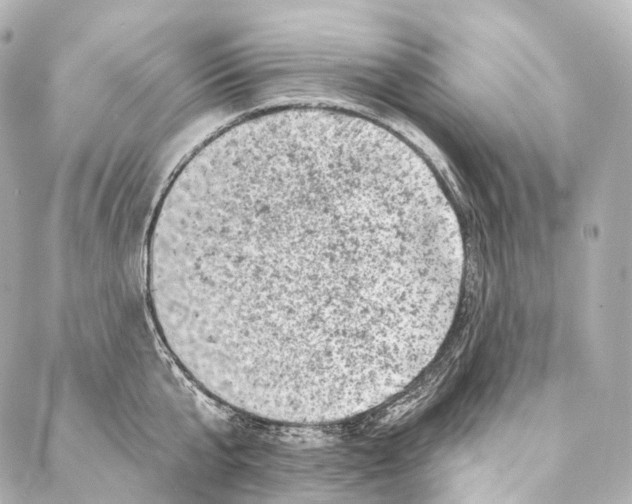X0000087000807200705141804