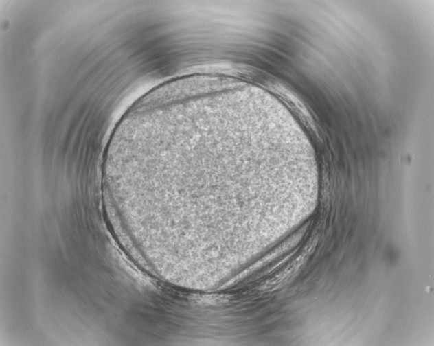 X0000087000808200705141804