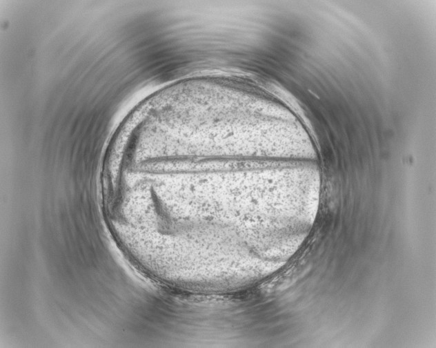 X0000087000811200705141804