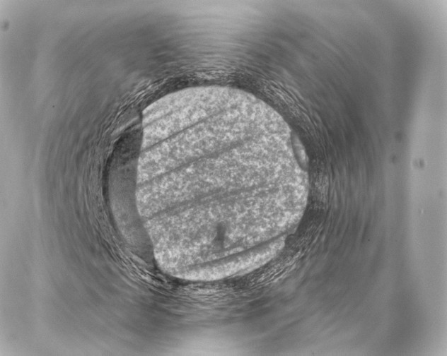 X0000087000817200705141803