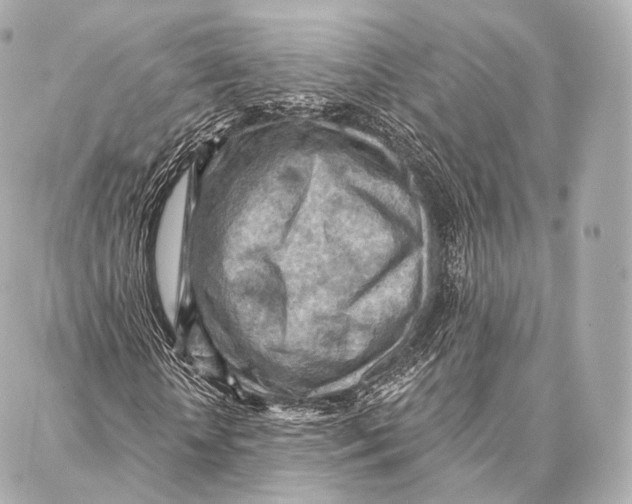 X0000087000818200705141803
