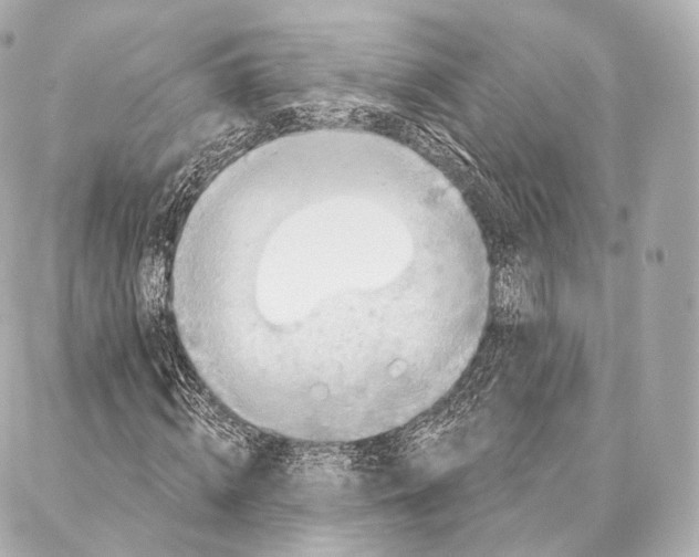 X0000087000820200705141803