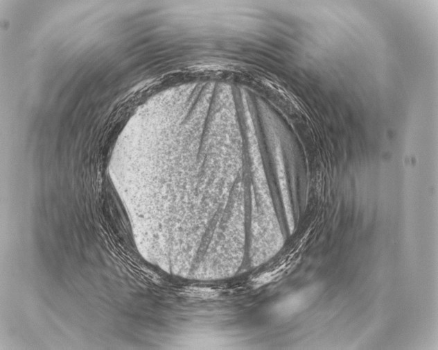 X0000087000821200705141803