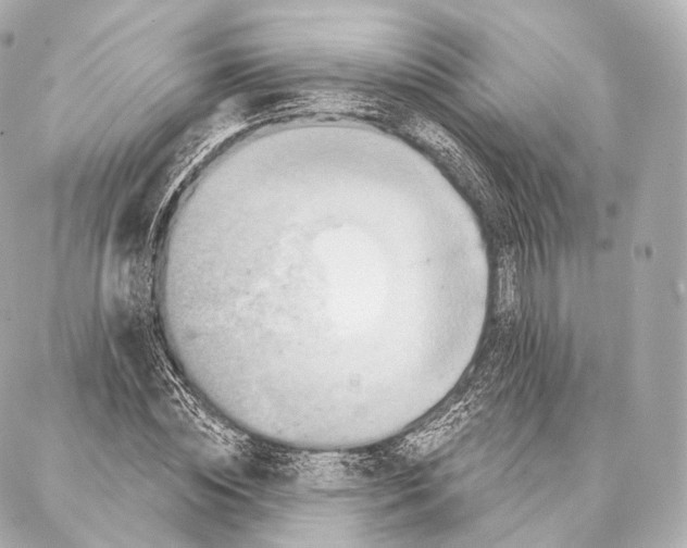 X0000087000828200705141804