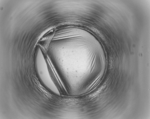 X0000087000830200705141804