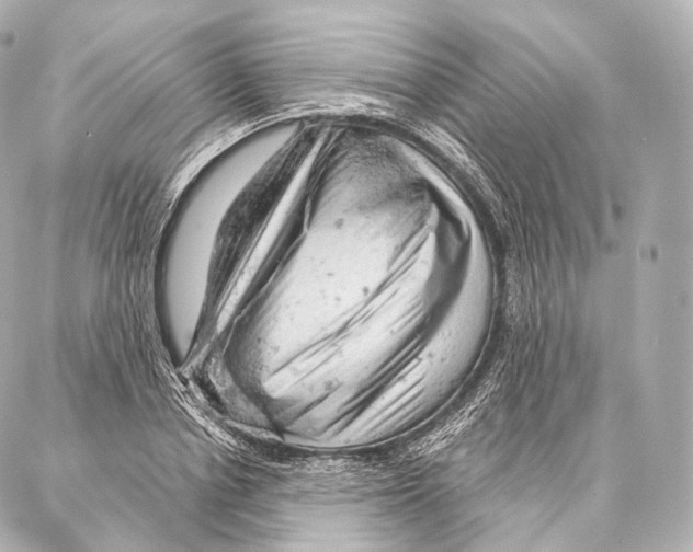 X0000087000834200705141804