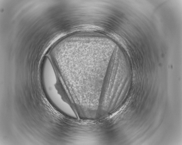 X0000087000835200705141804