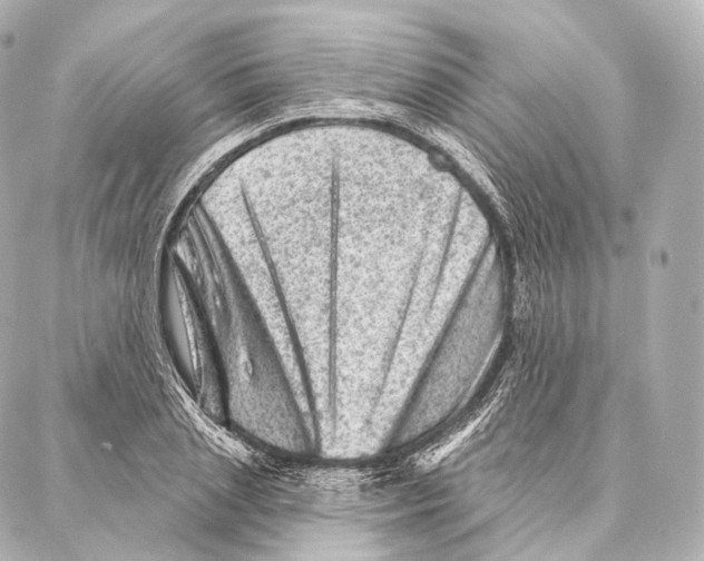 X0000087000837200705141804