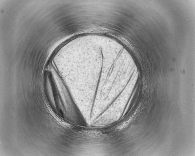 X0000087000838200705141804
