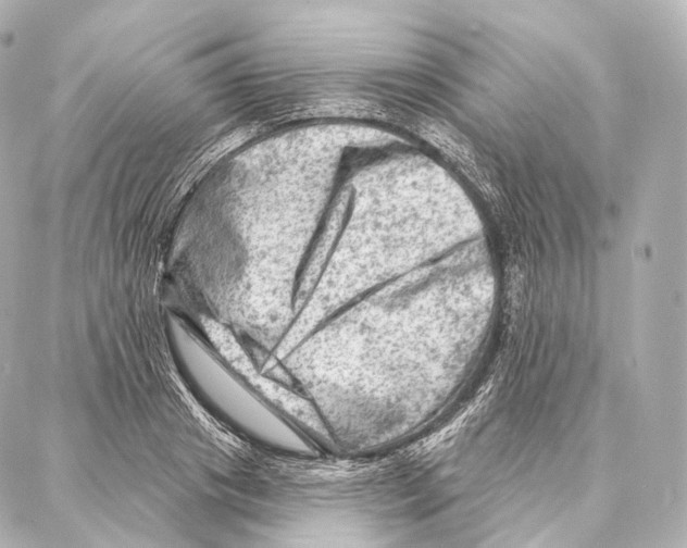 X0000087000841200705141804