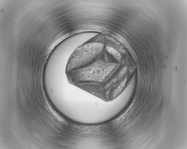 X0000087000842200705141804