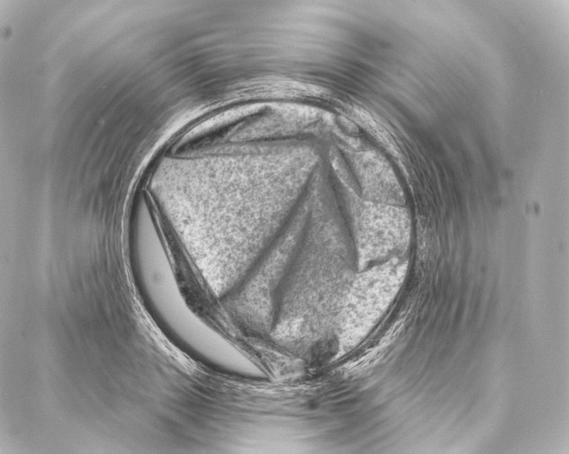 X0000087000843200705141804