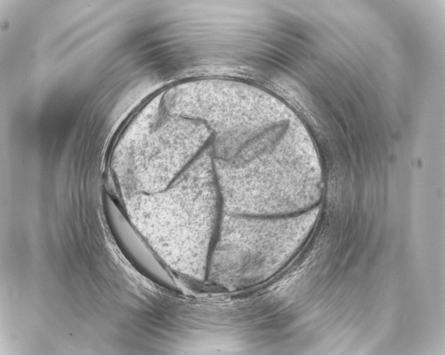 X0000087000844200705141804