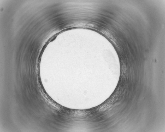 X0000087000848200705141804