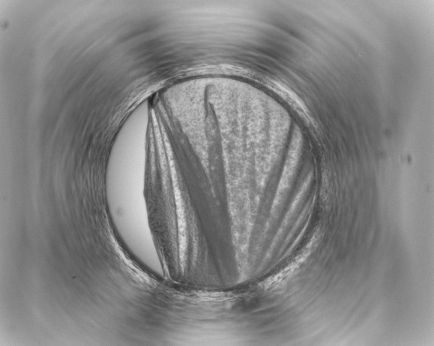 X0000087000849200705141804
