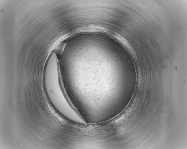 X0000087000850200705141804
