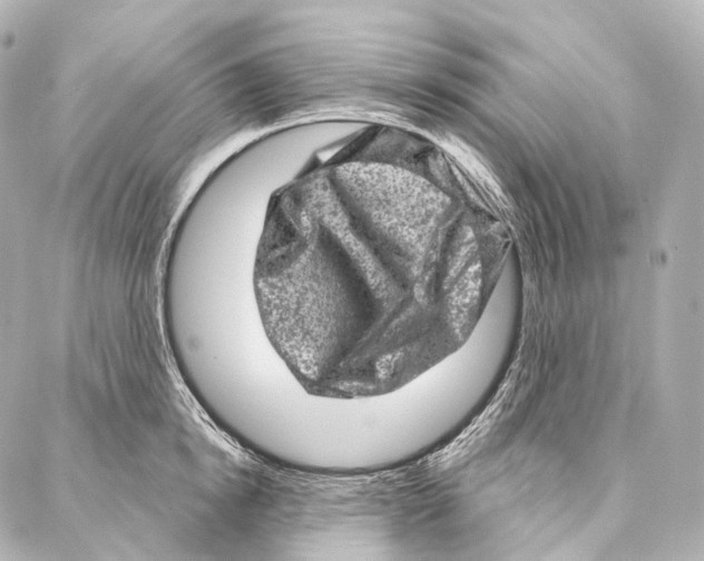 X0000087000854200705141804