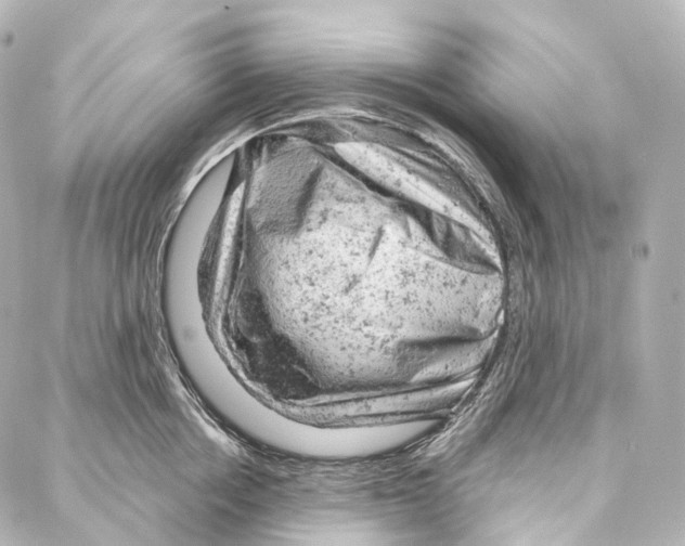 X0000087000858200705141804