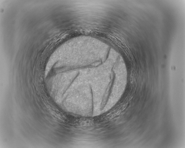 X0000087000865200705141803