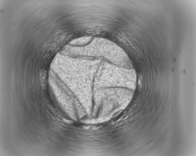 X0000087000867200705141803