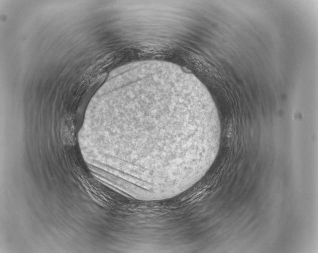 X0000087000868200705141803