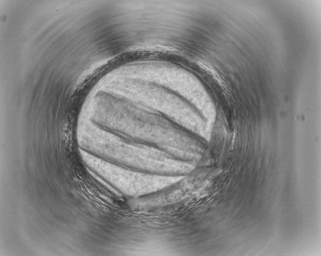 X0000087000872200705141803