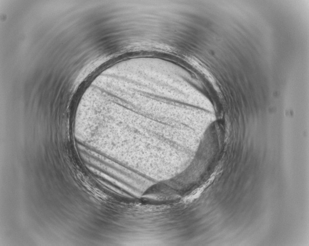 X0000087000877200705141803