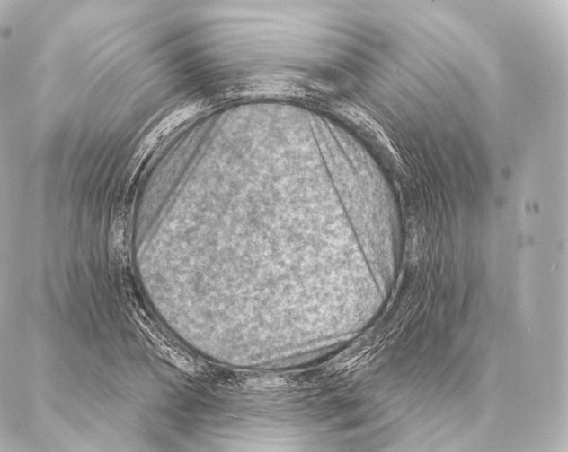 X0000087000882200705141803