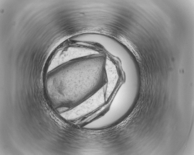 X0000087000884200705141803