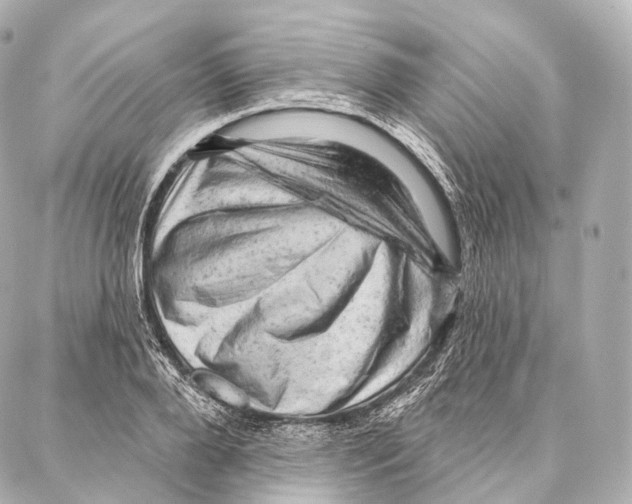 X0000087000888200705141803