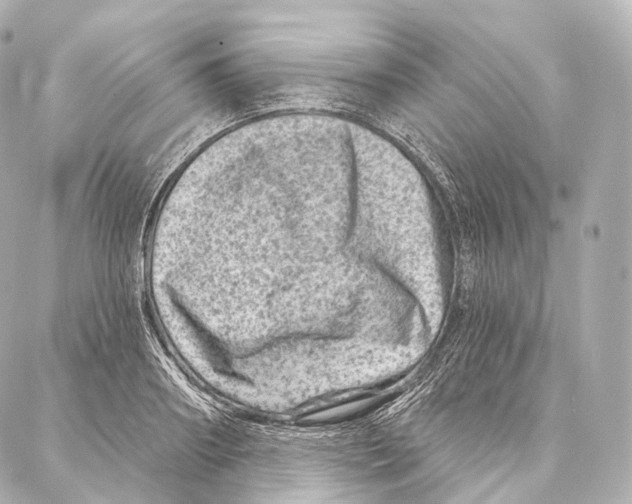 X0000087000890200705141803