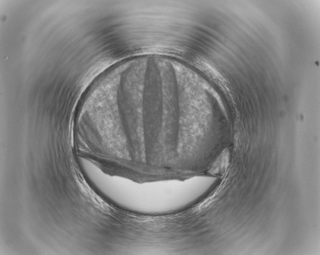 X0000087000892200705141803