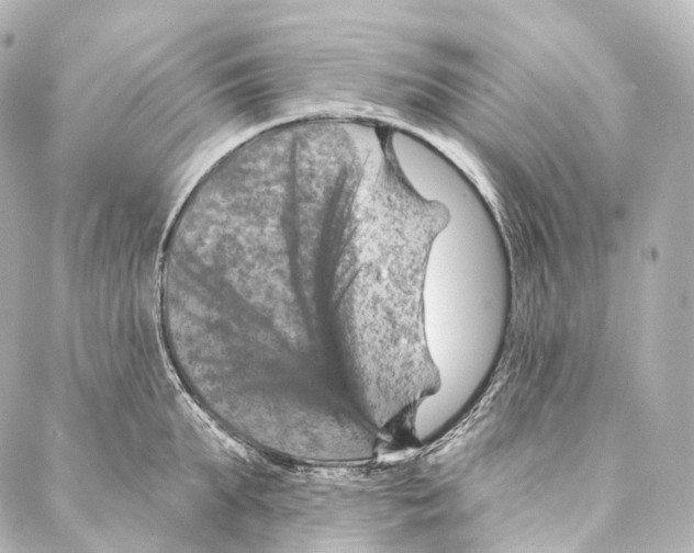 X0000087000903200705141803