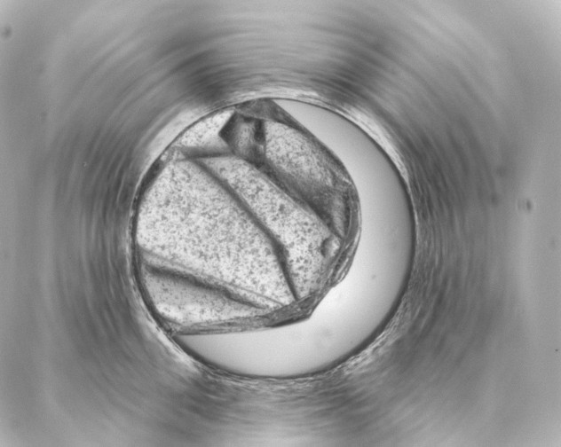 X0000087000906200705141803