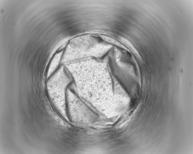 X0000087000908200705141803