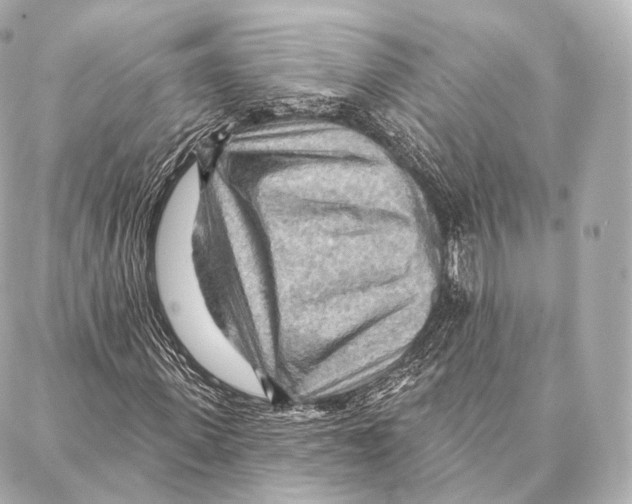 X0000087000915200705141802