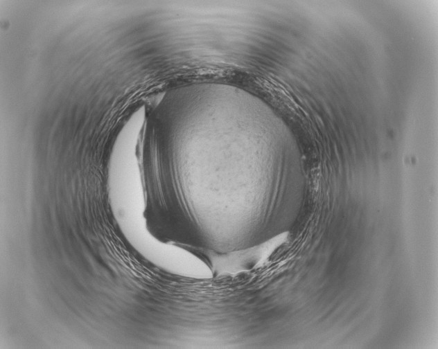 X0000087000916200705141802
