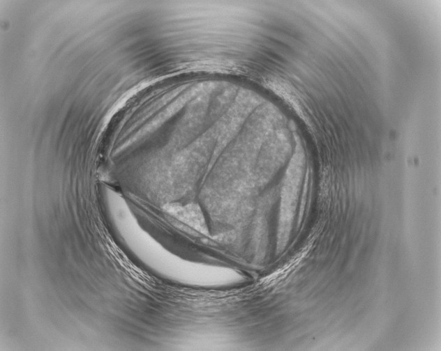 X0000087000923200705141802