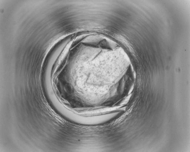 X0000087000924200705141802