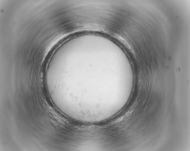X0000087000926200705141802