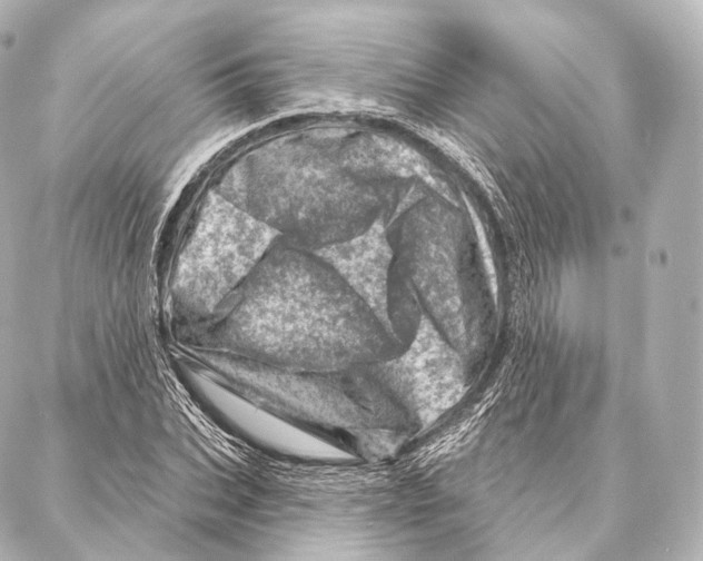 X0000087000927200705141802