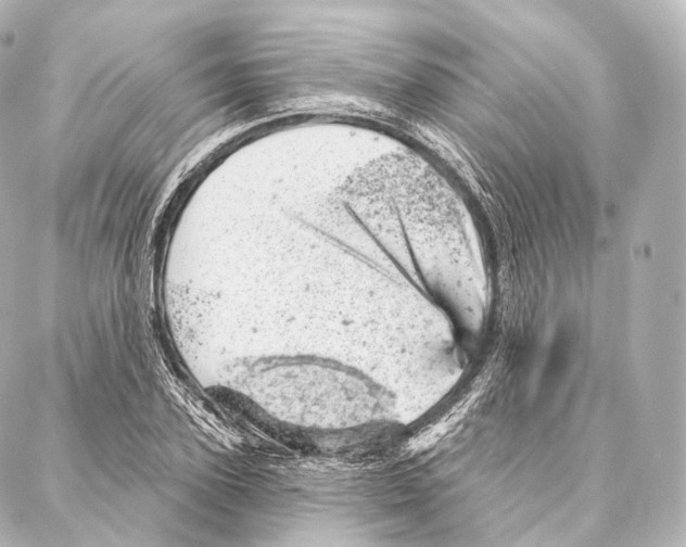 X0000087000931200705141802