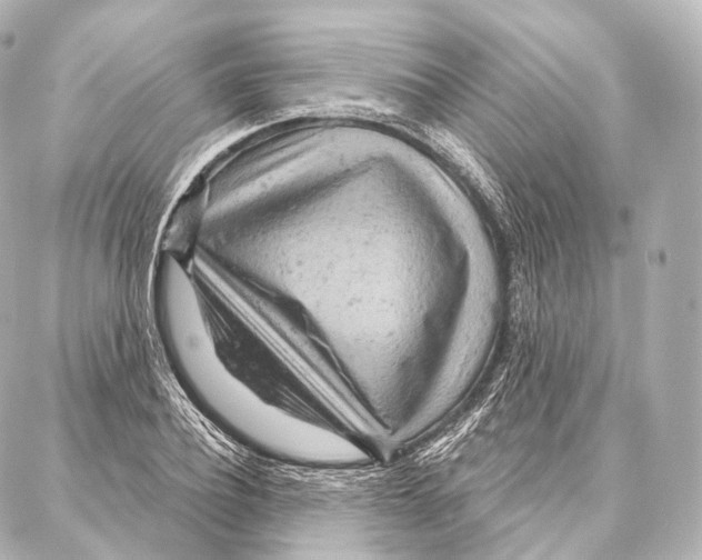 X0000087000932200705141802