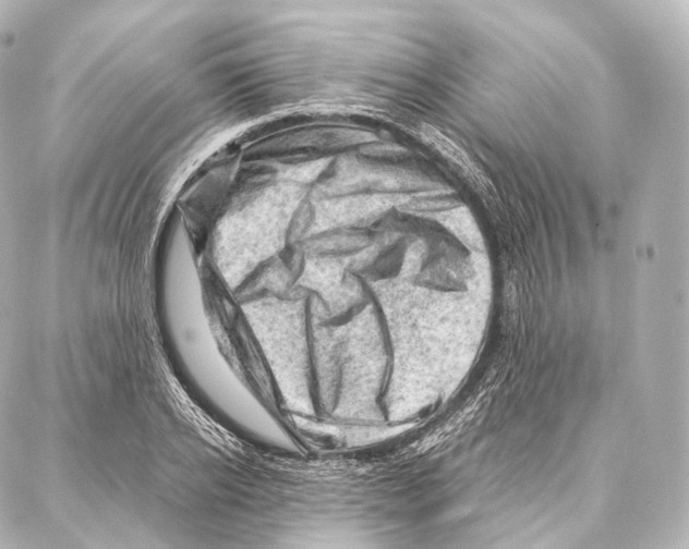 X0000087000934200705141802