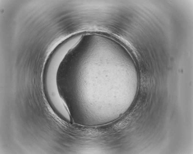 X0000087000935200705141802