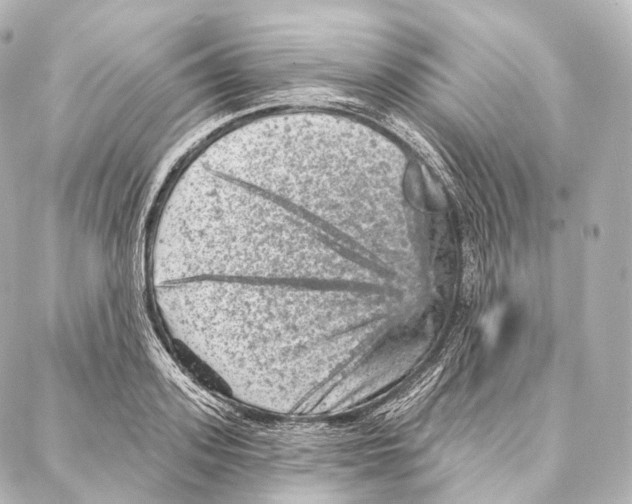 X0000087000939200705141802