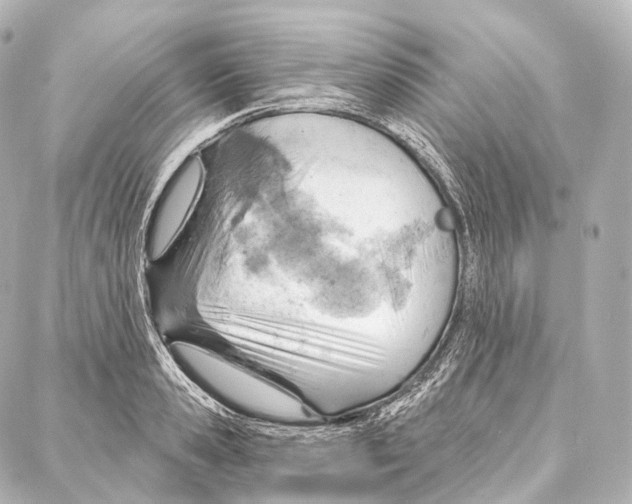 X0000087000941200705141802